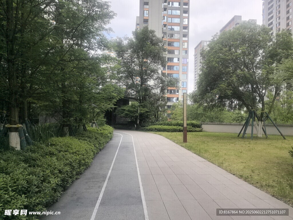 城市中的靜謐林蔭騎行道
