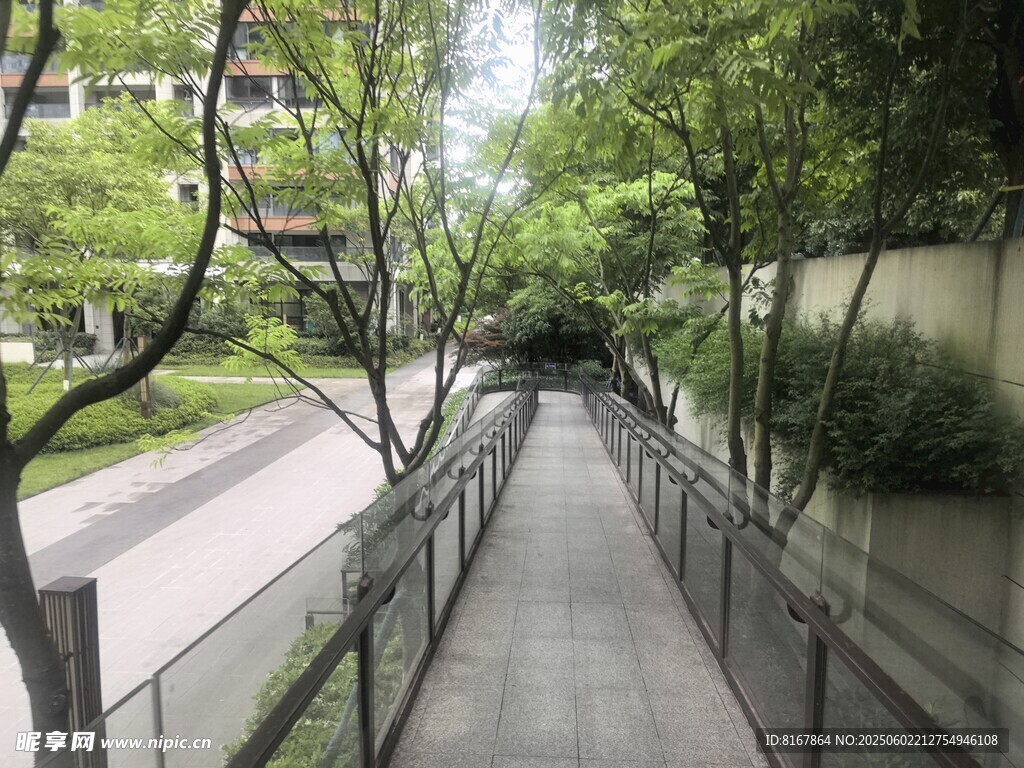 城市中幽靜的林蔭步道