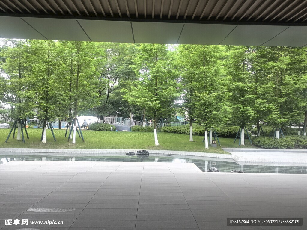 戶外綠蔭下的開闊休憩空間