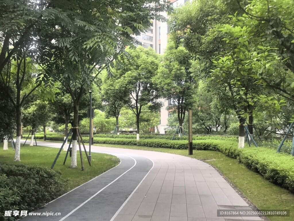 城市中的靜謐林蔭道路