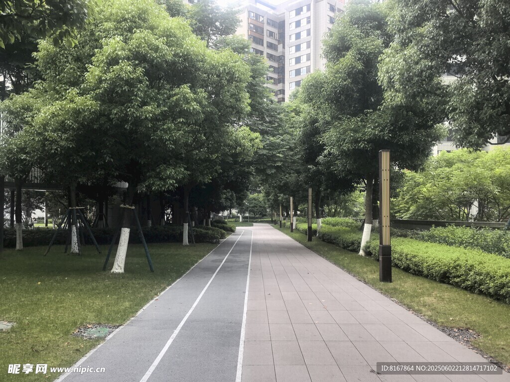 城市林蔭步道風景