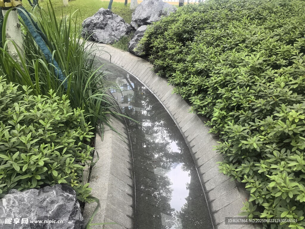 蜿蜒溪流旁的綠植景觀