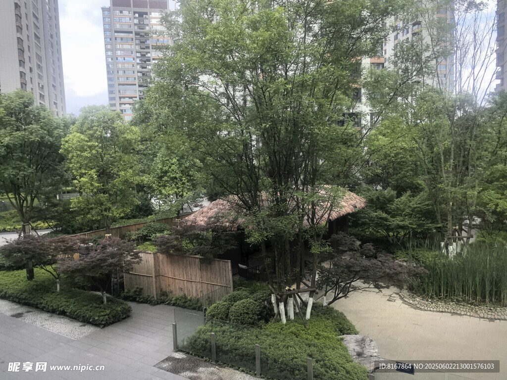 城市中的靜謐綠植景觀