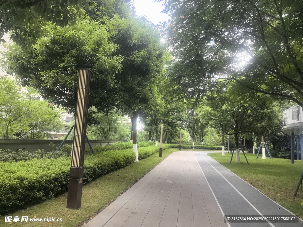 林蔭下的靜謐騎行小路