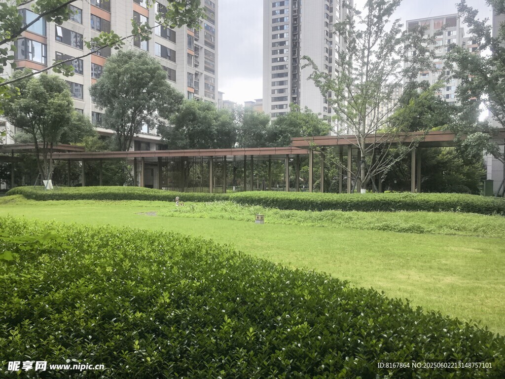 城市中的靜謐綠植景觀