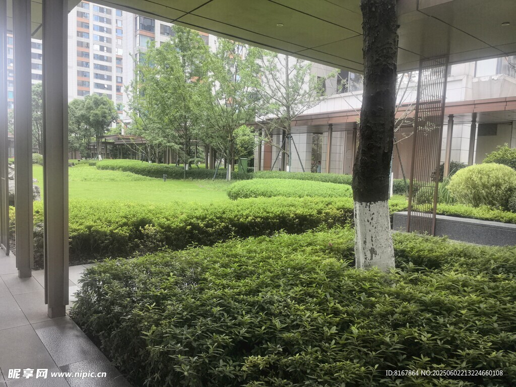 庭院綠植景觀一角
