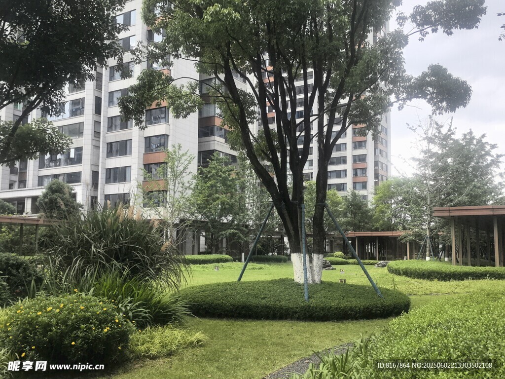 小區內的綠意盎然景觀