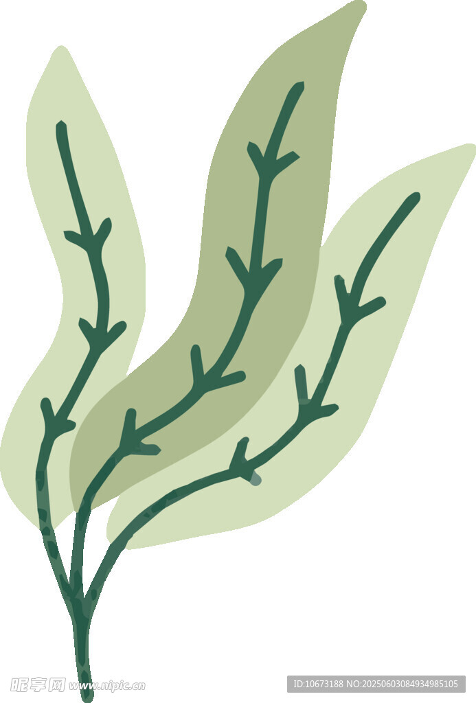 清新綠葉插畫(huà)