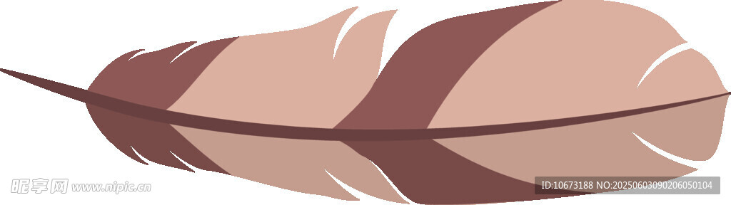 棕色羽毛插畫