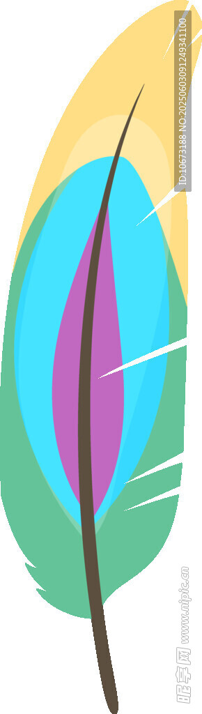 多彩羽毛插畫