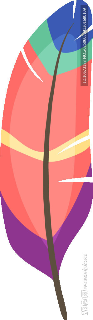 多彩羽毛插畫