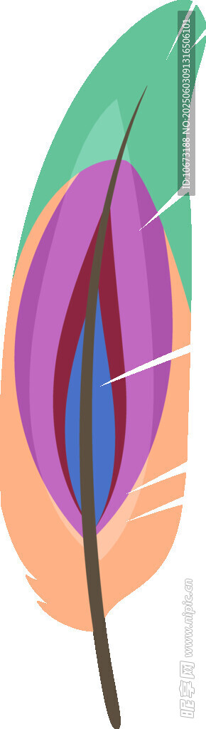 彩色羽毛插畫