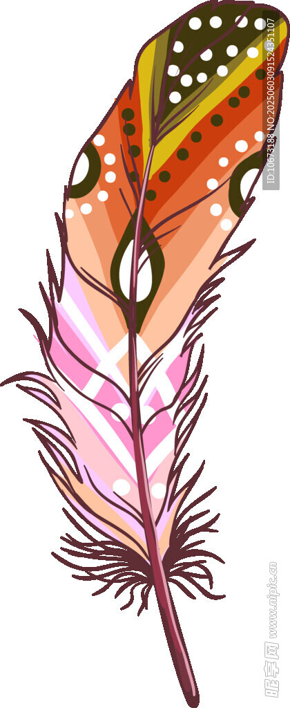 彩色夢幻羽毛插畫