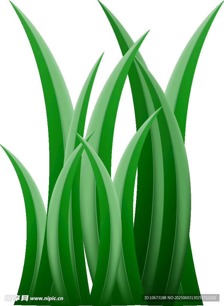 翠綠草叢插畫