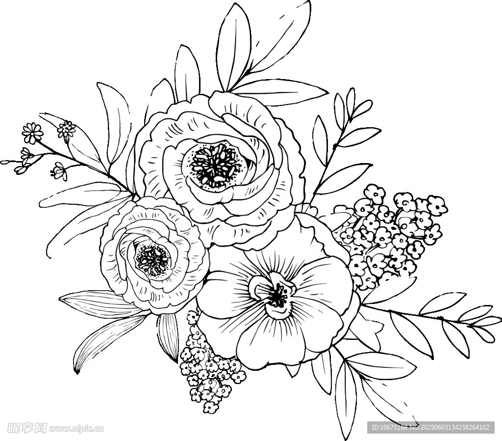 花卉黑白線稿插畫