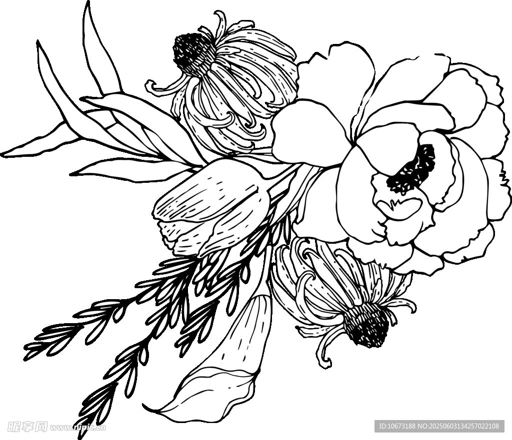 黑白花卉線稿插畫