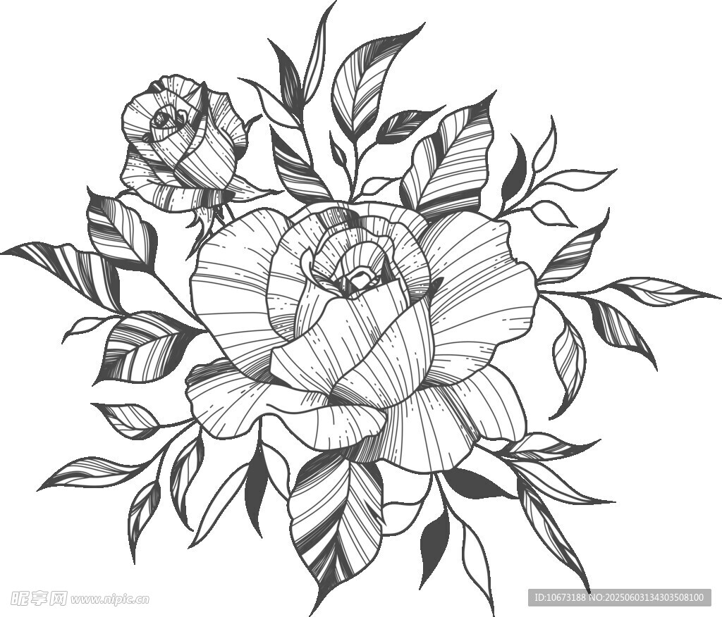 黑白花卉插畫