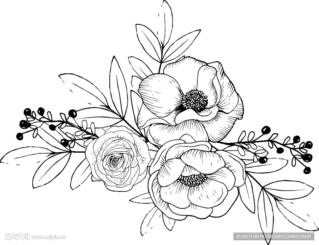 手繪花卉線條插畫
