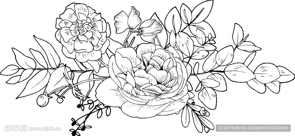 手繪花卉插畫