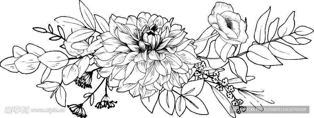 花卉黑白線稿插畫圖案
