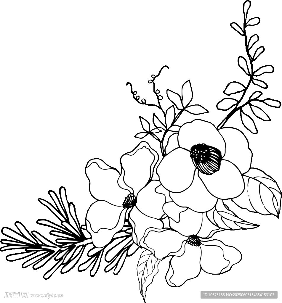 黑白花卉線條插畫