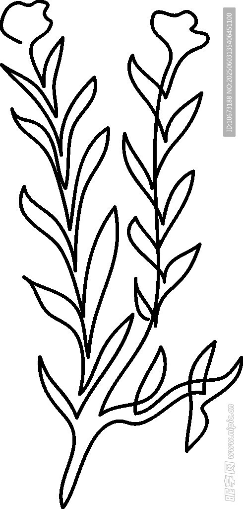 手繪植物線條圖