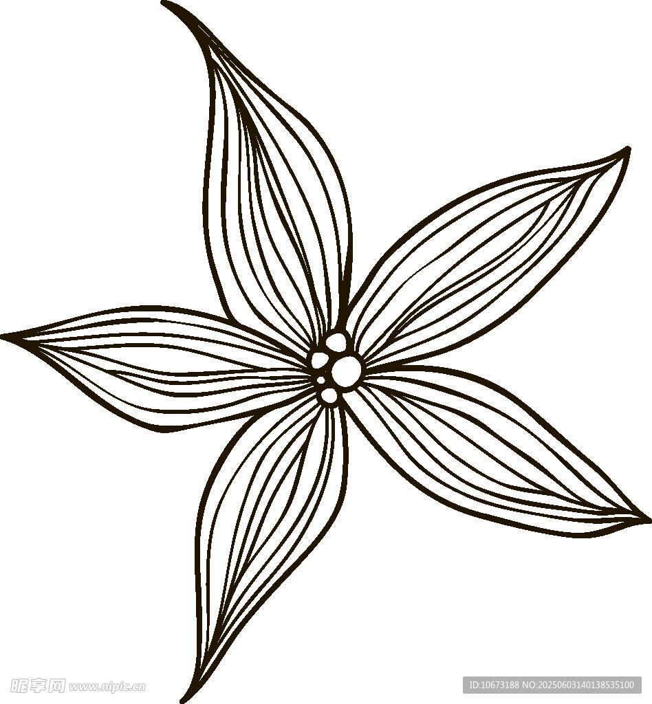 簡約線條五瓣花圖案