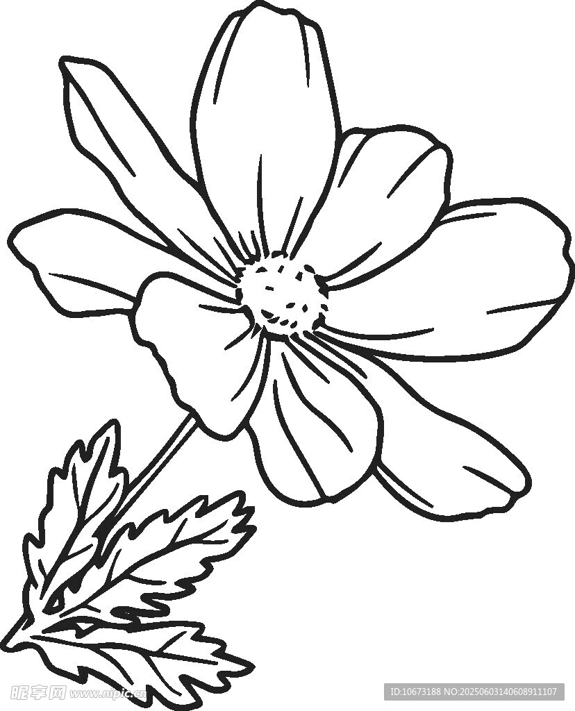 手繪線條花朵圖案