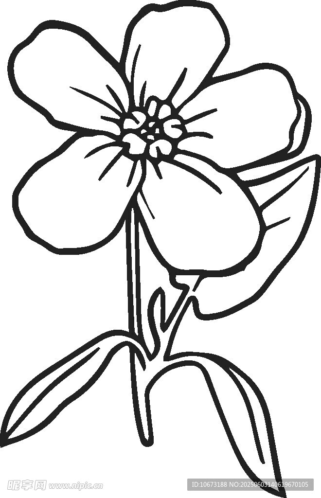 簡約線條花卉插畫