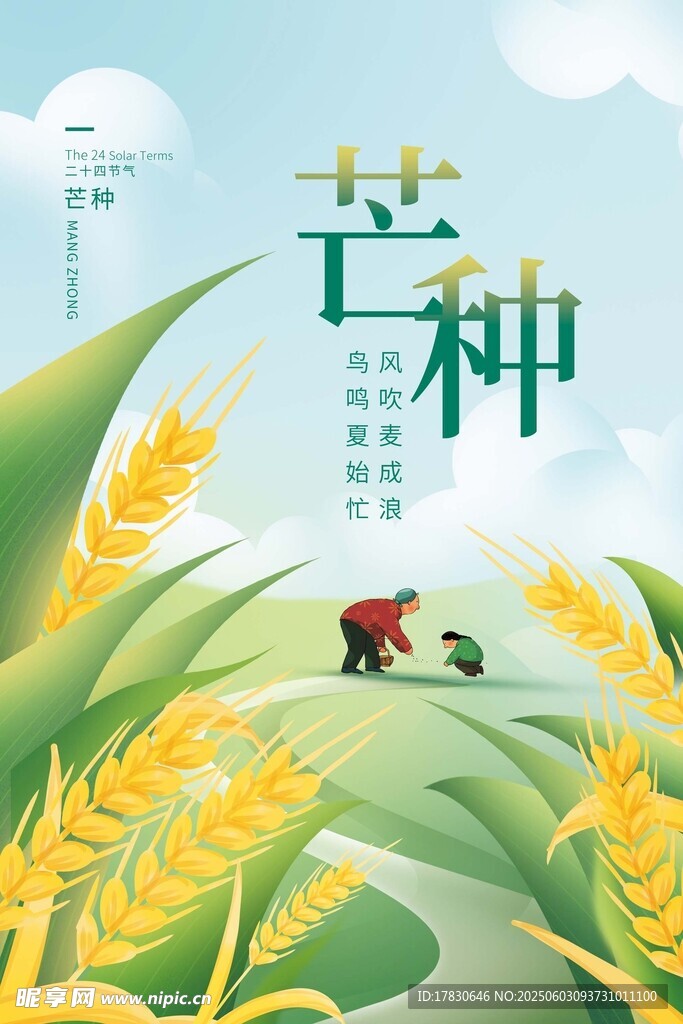 芒種海報