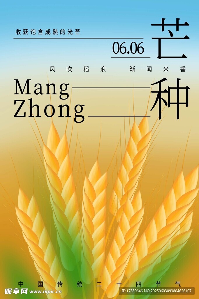 芒種海報