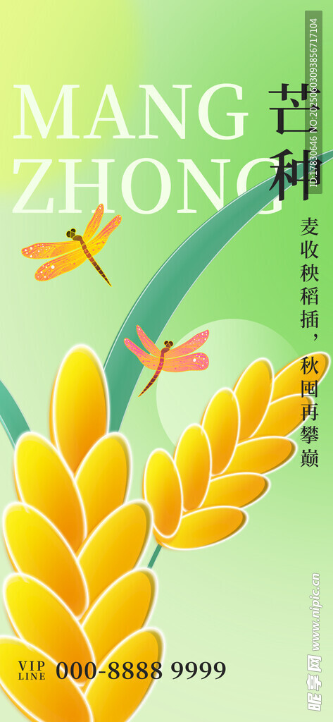 芒種海報