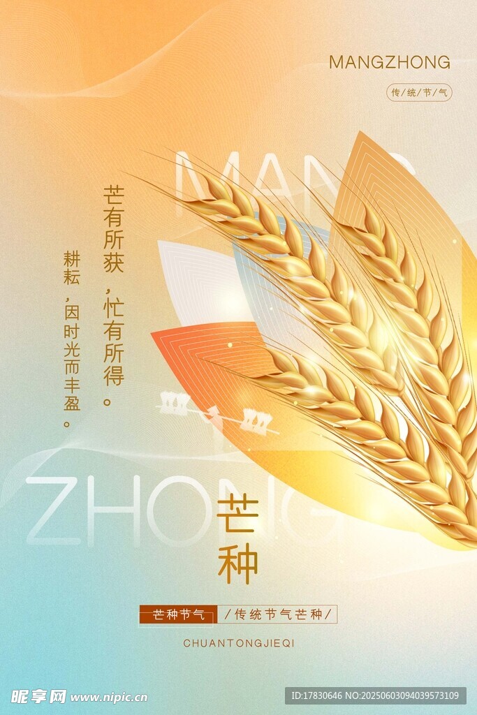 芒種海報(bào)