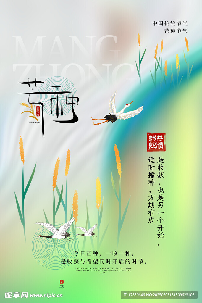芒種海報