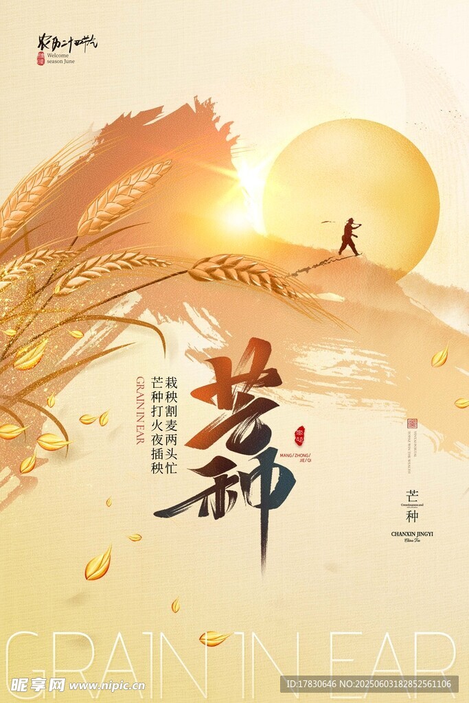 芒種海報