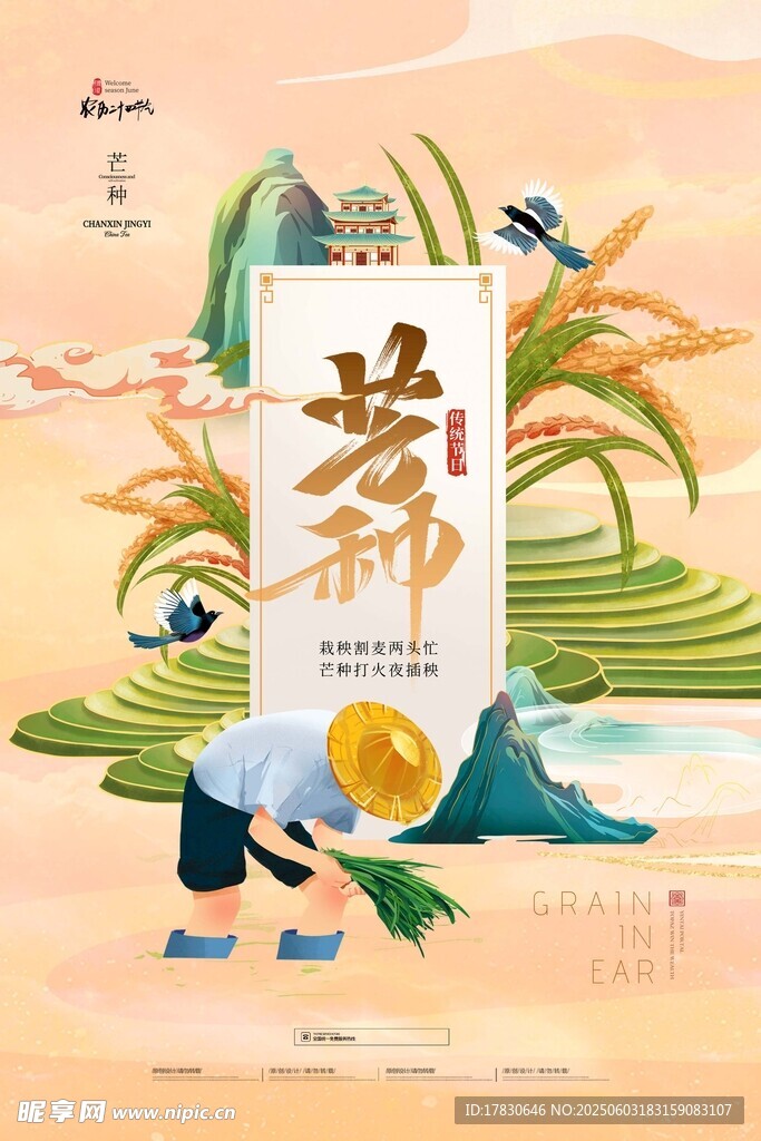 芒種海報(bào)