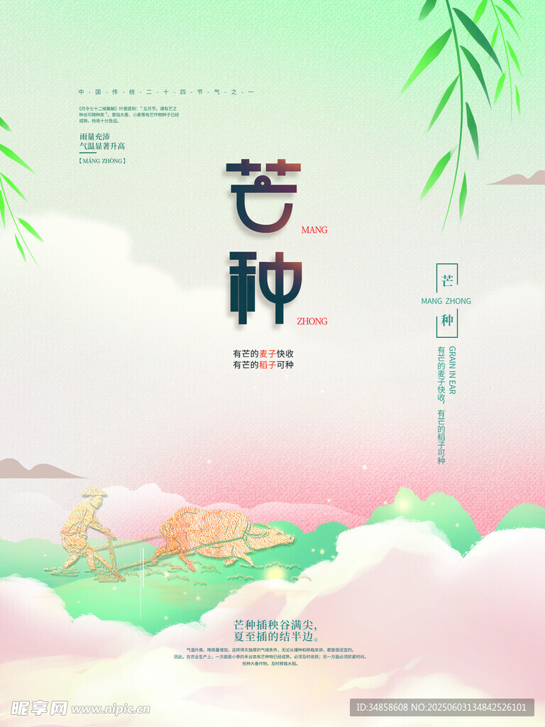 芒種節氣插畫海報