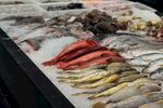 多樣鮮魚陳列展示