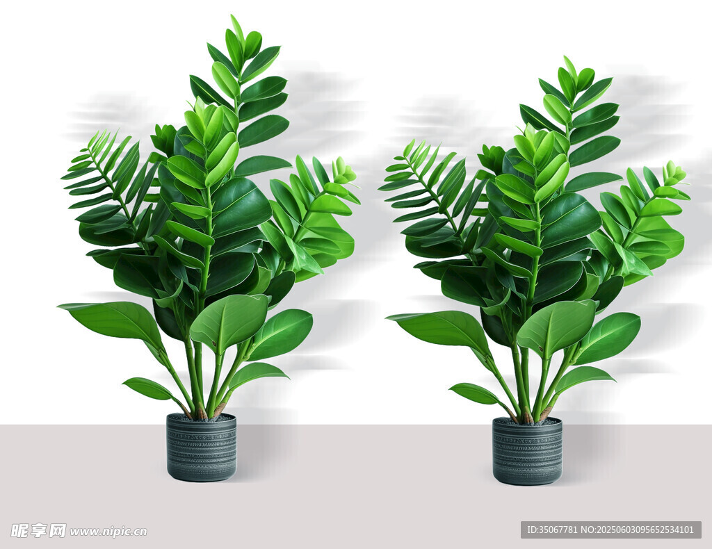 綠植盆栽素材