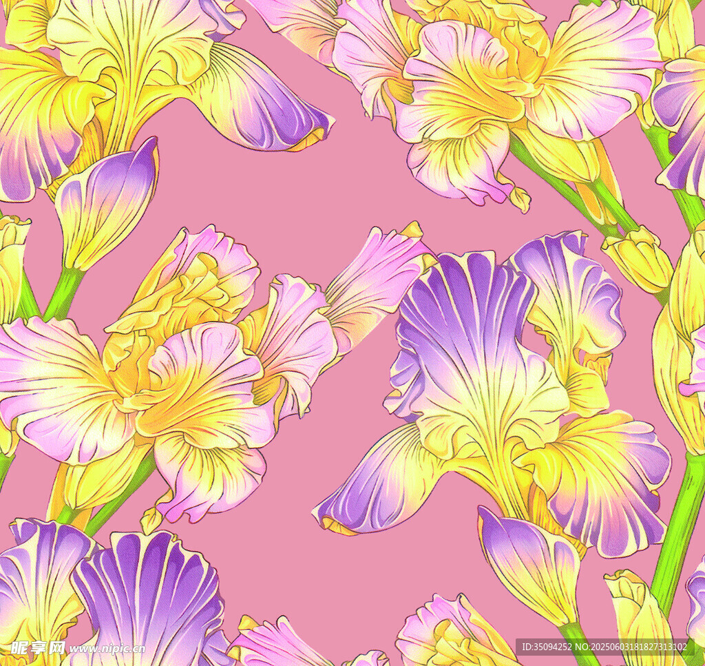 粉色背景鳶尾花花卉圖案