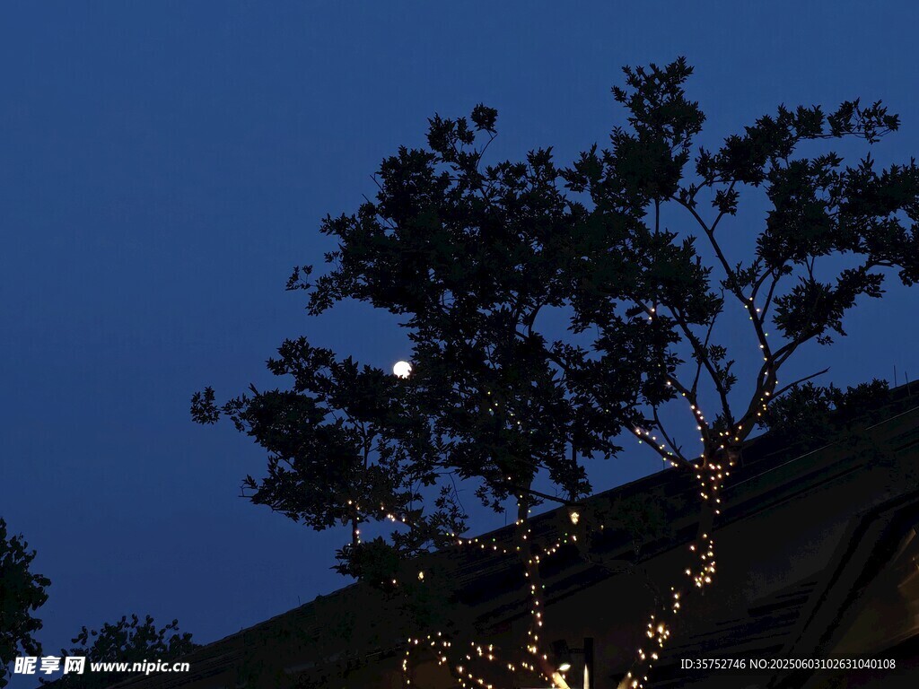 夜