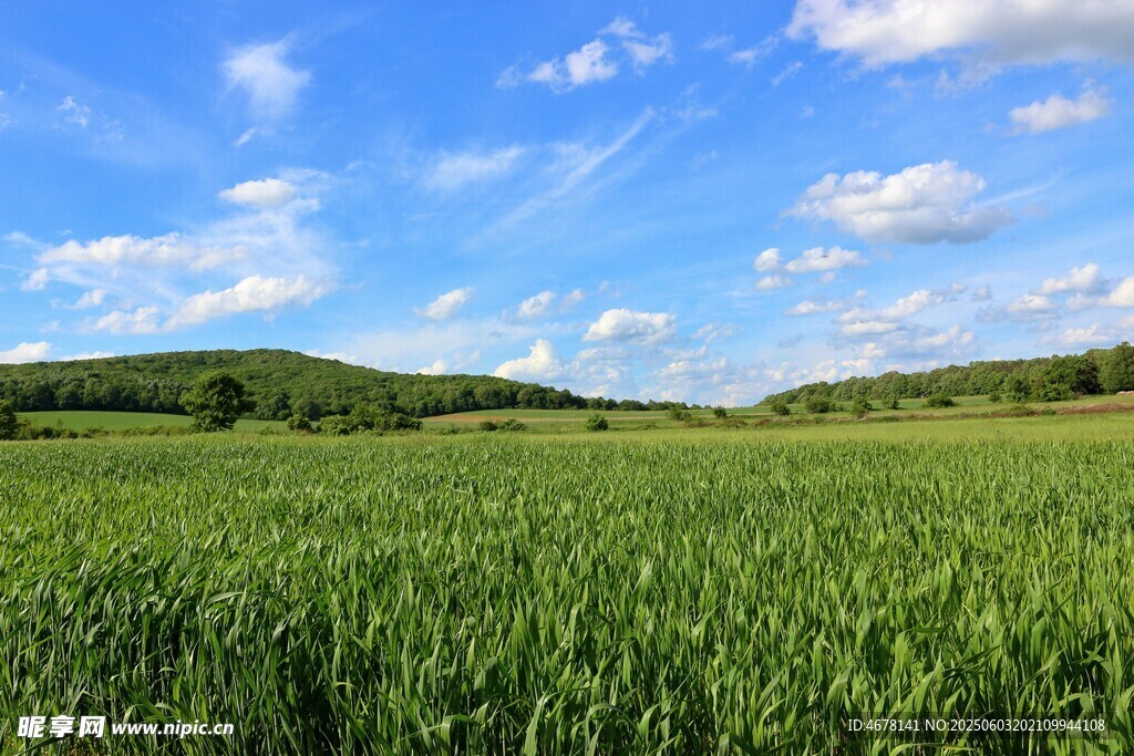 廣袤綠野藍(lán)天美景