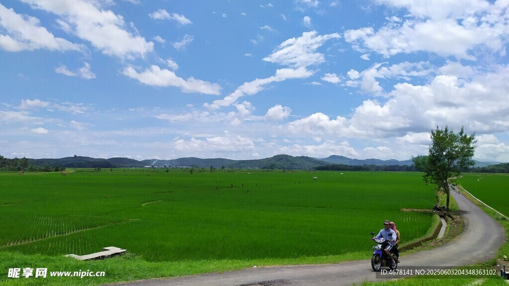 鄉(xiāng)村公路騎行美景