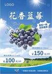 藍莓