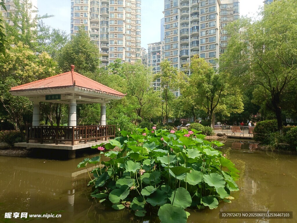 城市中的靜謐園林景觀