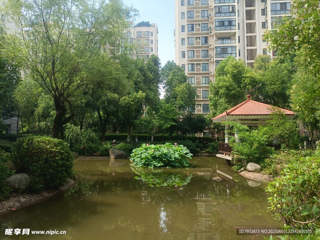 城市中的靜謐園林景觀