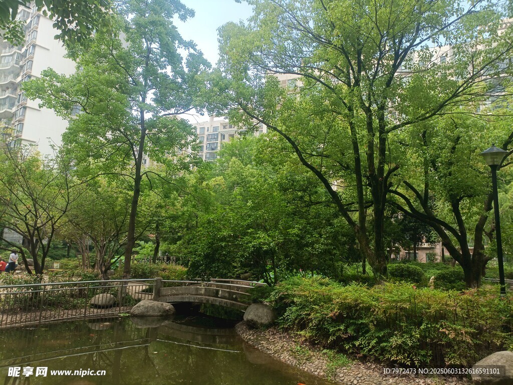 城市中的靜謐綠意小景