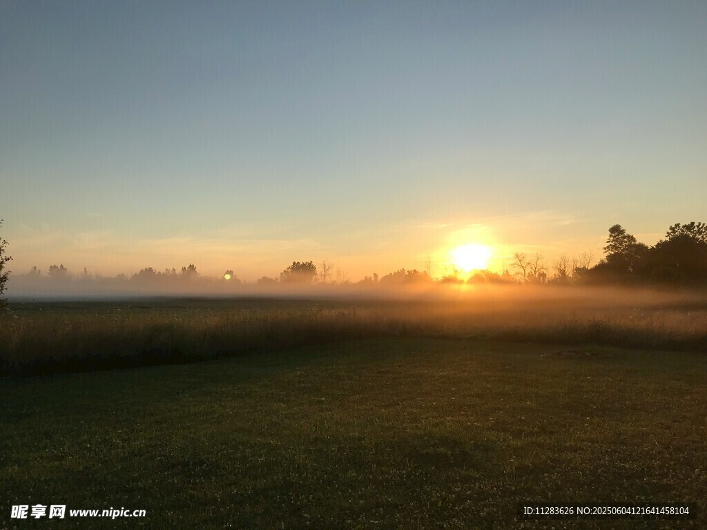 日出時分的開闊草地美景