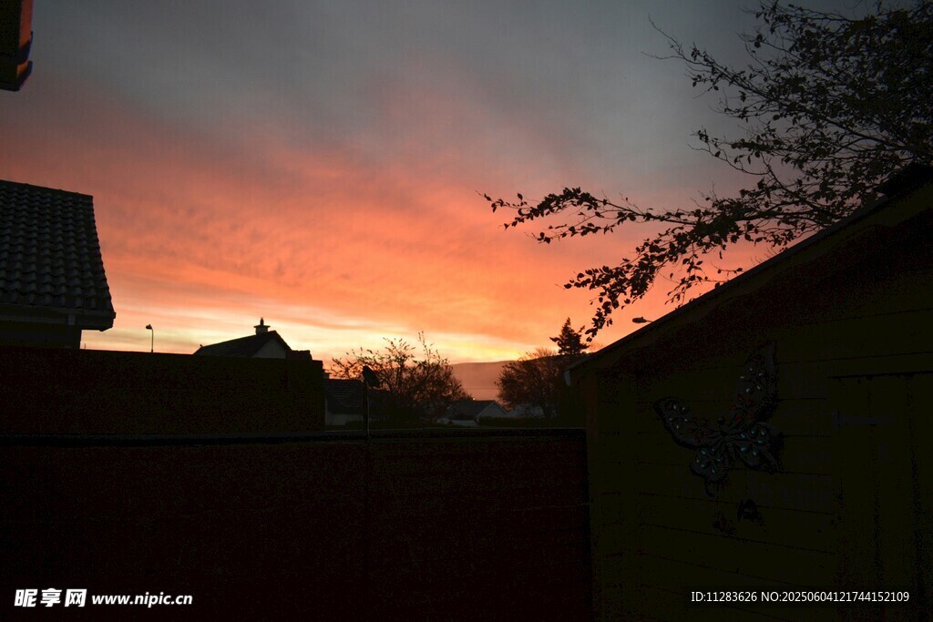 夕陽下的房屋與樹梢美景