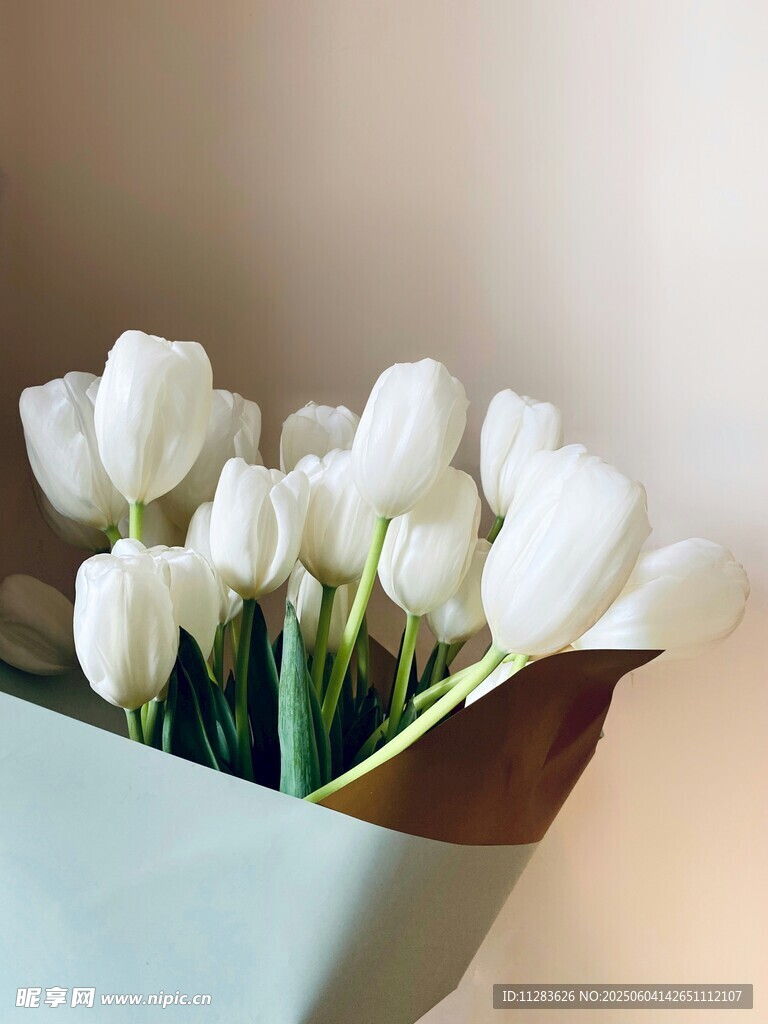 白色郁金香花束優(yōu)雅綻放
